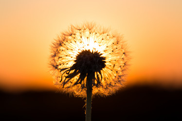 Similar image 6333641