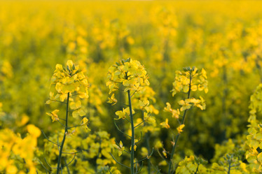 Similar image 6333669