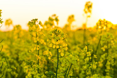 Similar image 6333679