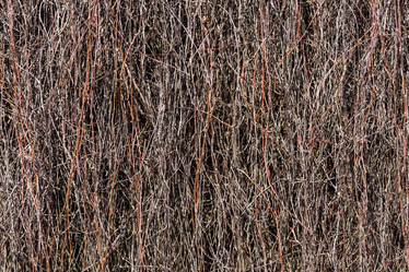 Similar image 6333688