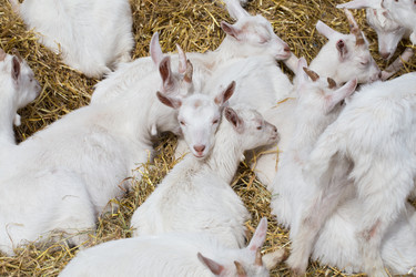 Similar image 6333695