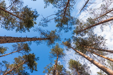 Similar image 6333729