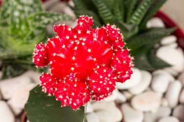 Similar image 6333740