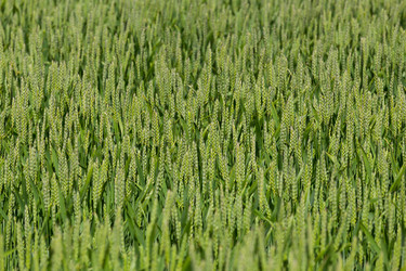 Similar image 6333755