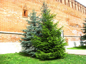 Similar image 6334230