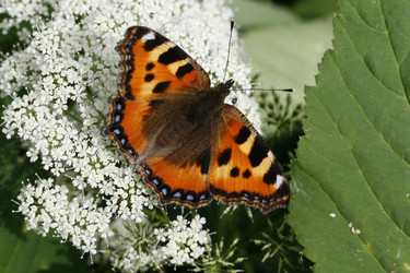 Similar image 6334234