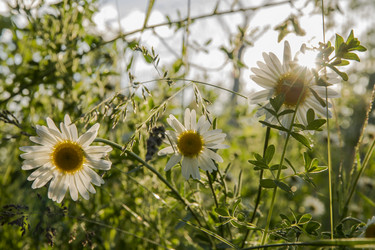 Similar image 6334237