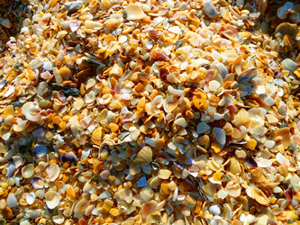 Similar image 6334253