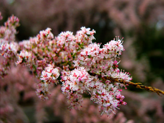 Similar image 6334255