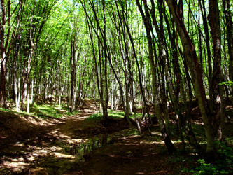 Similar image 6334256