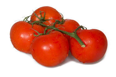 Similar image 6334349