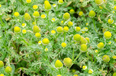 Similar image 6334350