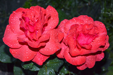 Similar image 6334355