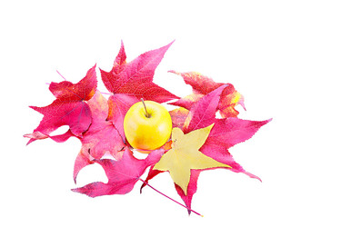 Similar image 6334358