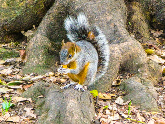 Similar image 6334363