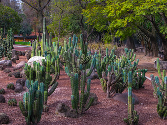 Similar image 6334366