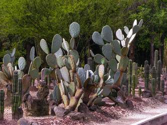 Similar image 6334367