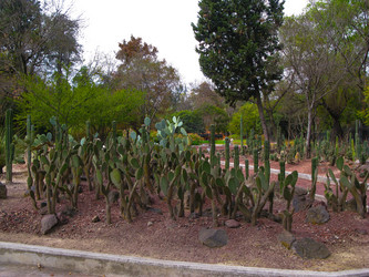 Similar image 6334368