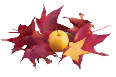 Similar image 6334378