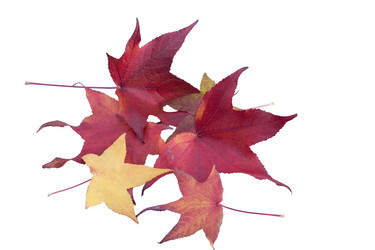 Similar image 6334389