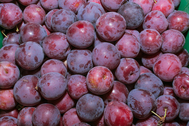 Similar image 6334404