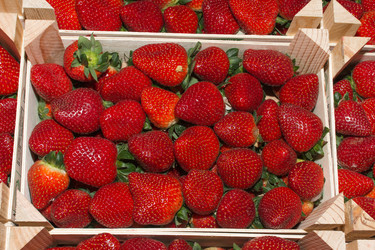 Similar image 6334413