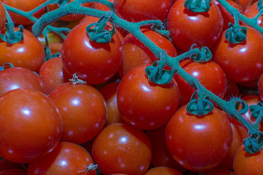 Similar image 6334419