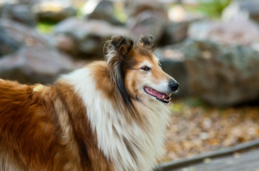 Similar image 6334447