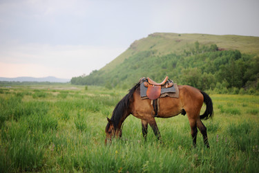 Similar image 6334448