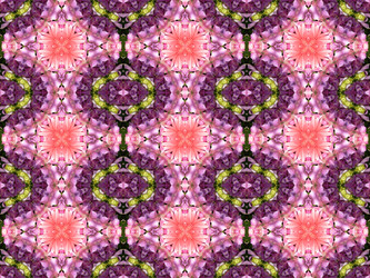 Similar image 6334493