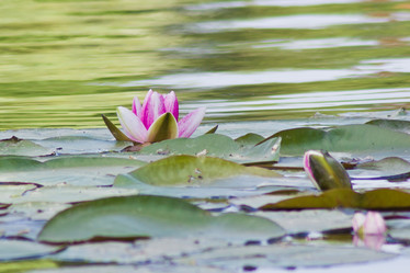 Similar image 6334607