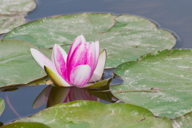 Similar image 6334608