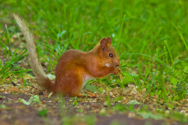 Similar image 6334610