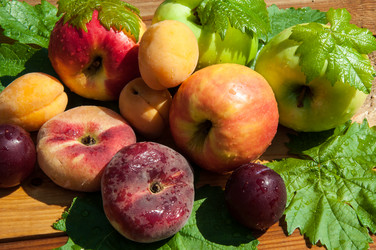 Similar image 6334616