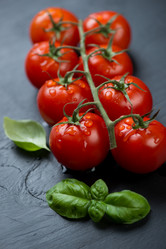 Similar image 6334849