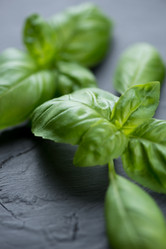 Similar image 6334853