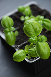 Similar image 6334865