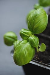 Similar image 6334868