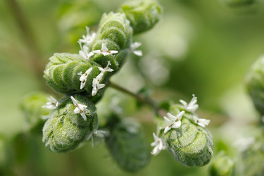 Similar image 6334928