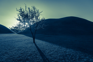 Similar image 6335087