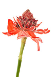 Similar image 6335504