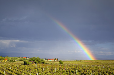 Similar image 6335666