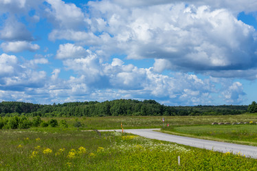 Similar image 6335728