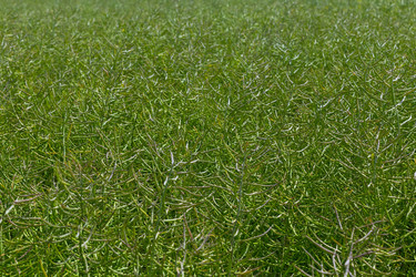 Similar image 6335731