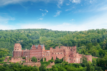 Similar image 6335942