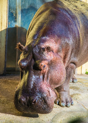 Similar image 6336135