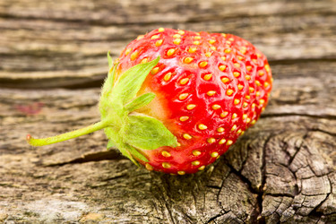 Similar image 6336458