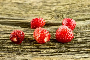 Similar image 6336504