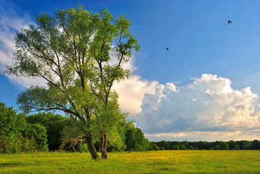 Similar image 6336539