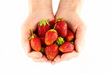 Similar image 6336543